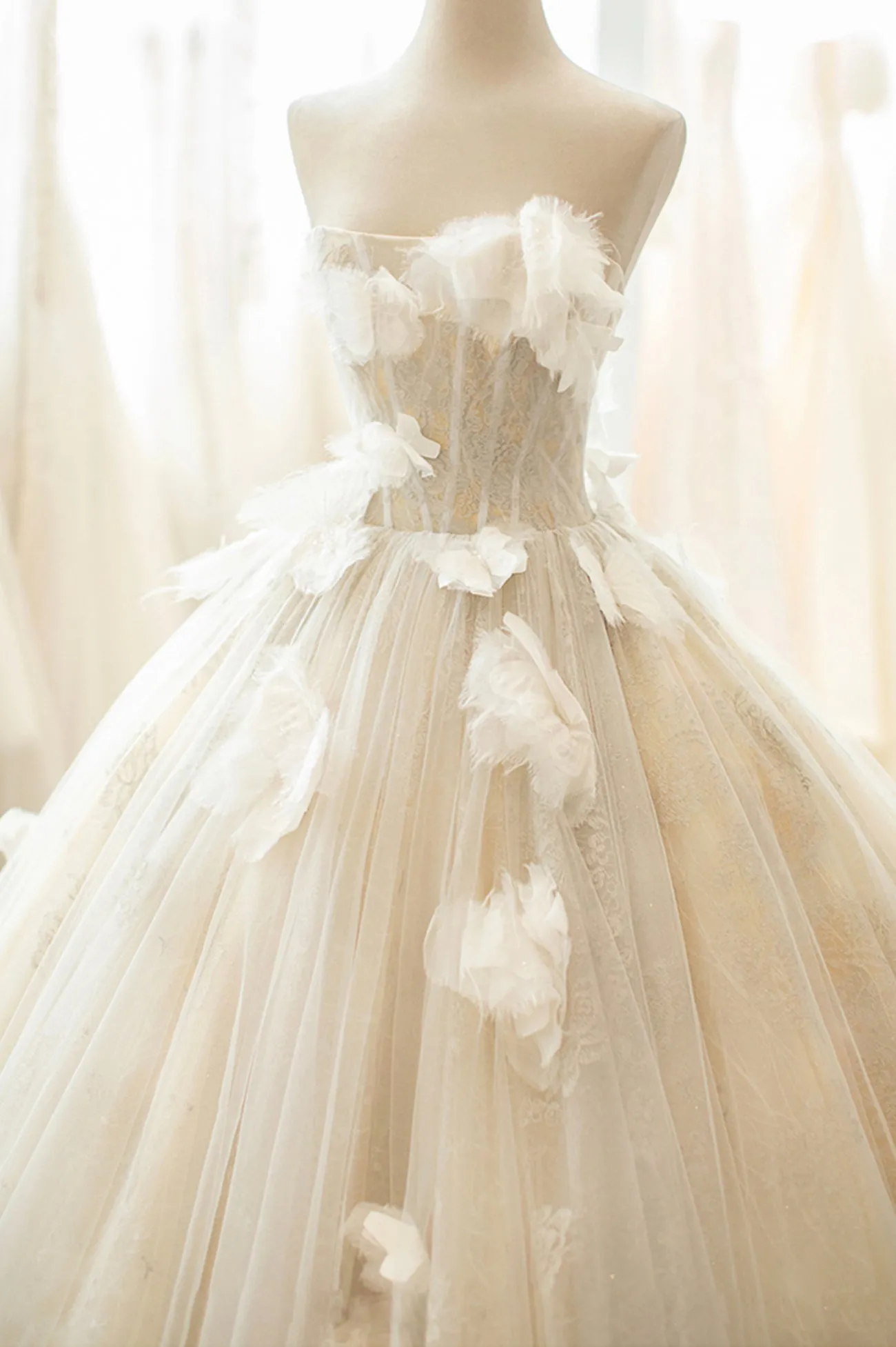 Champagne Tulle Lace Long Formal Dress A-Line Evening Gown