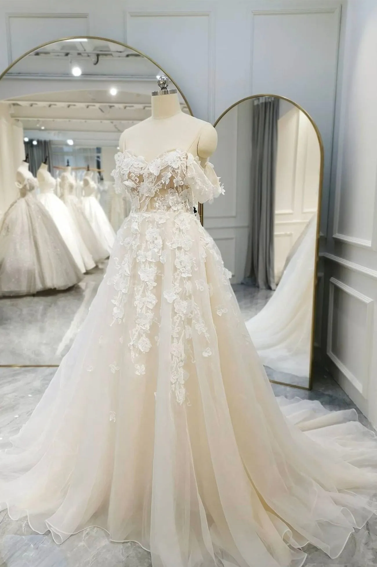 Champagne Tulle Lace Long Prom Dress A-Line Evening Gown