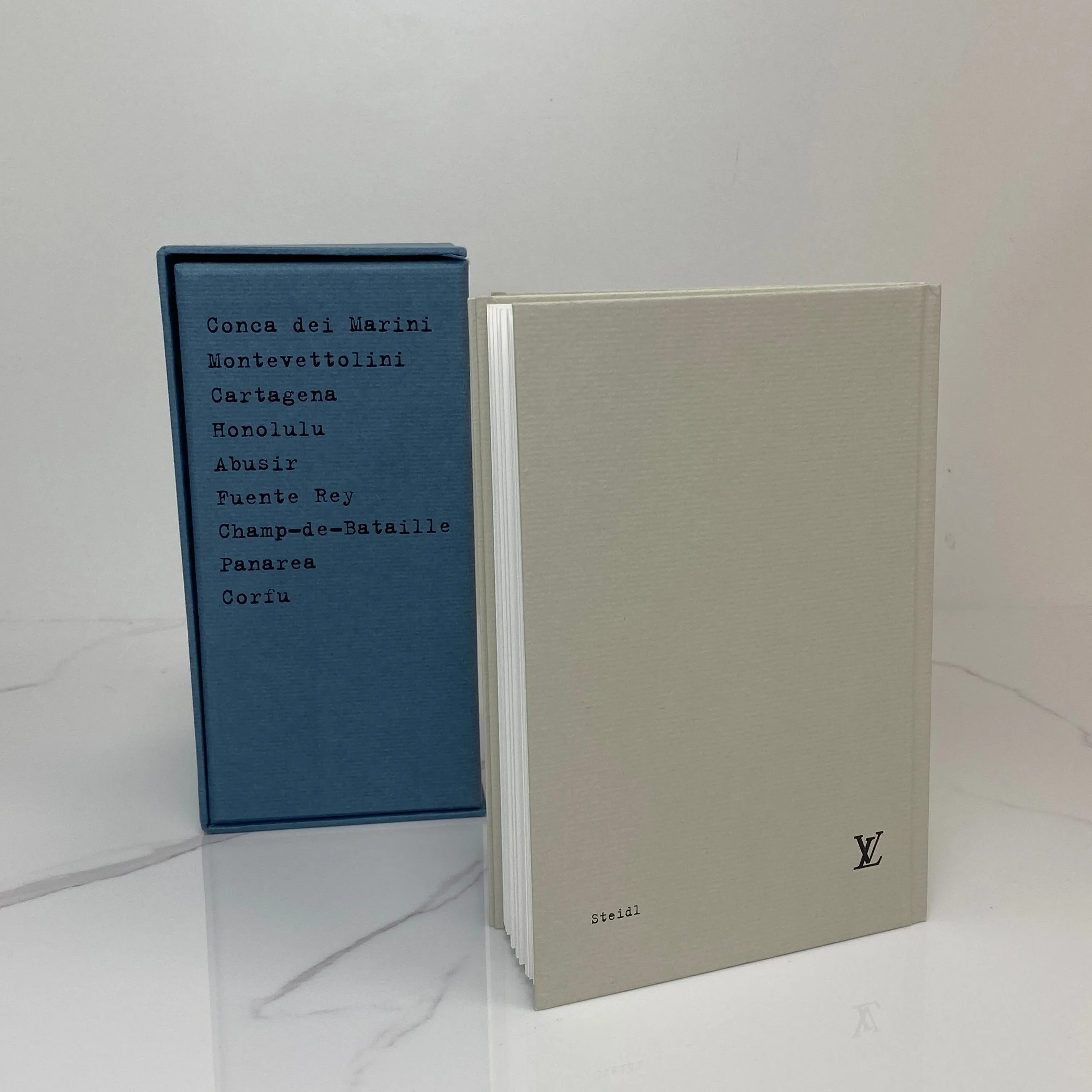 Louis Vuitton Book for Friend
