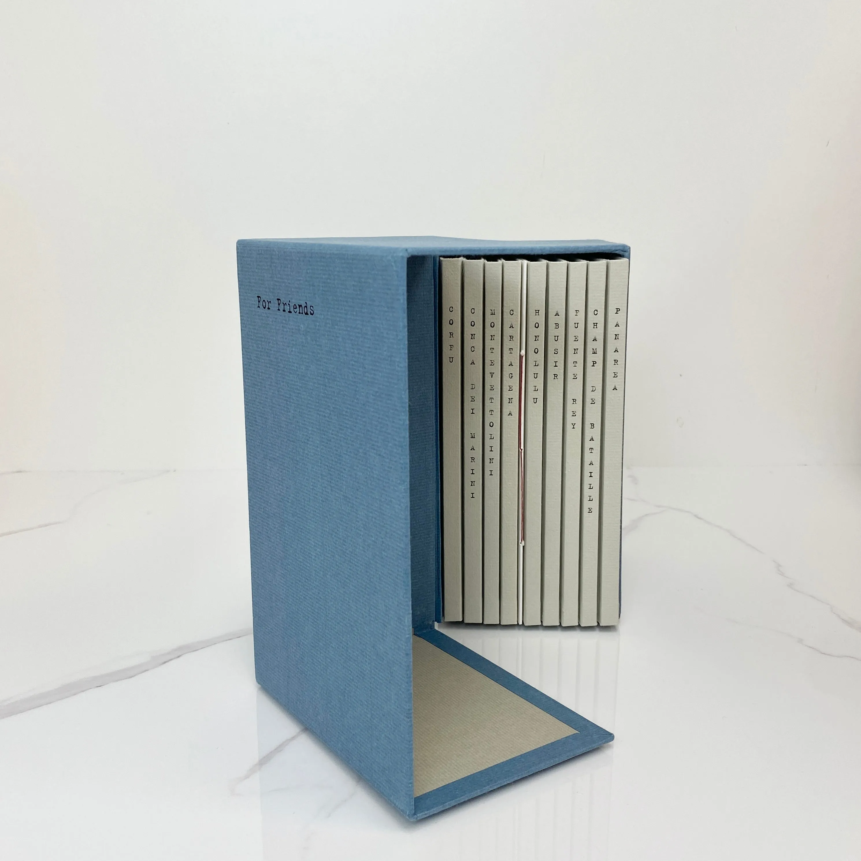 Louis Vuitton Book for Friend