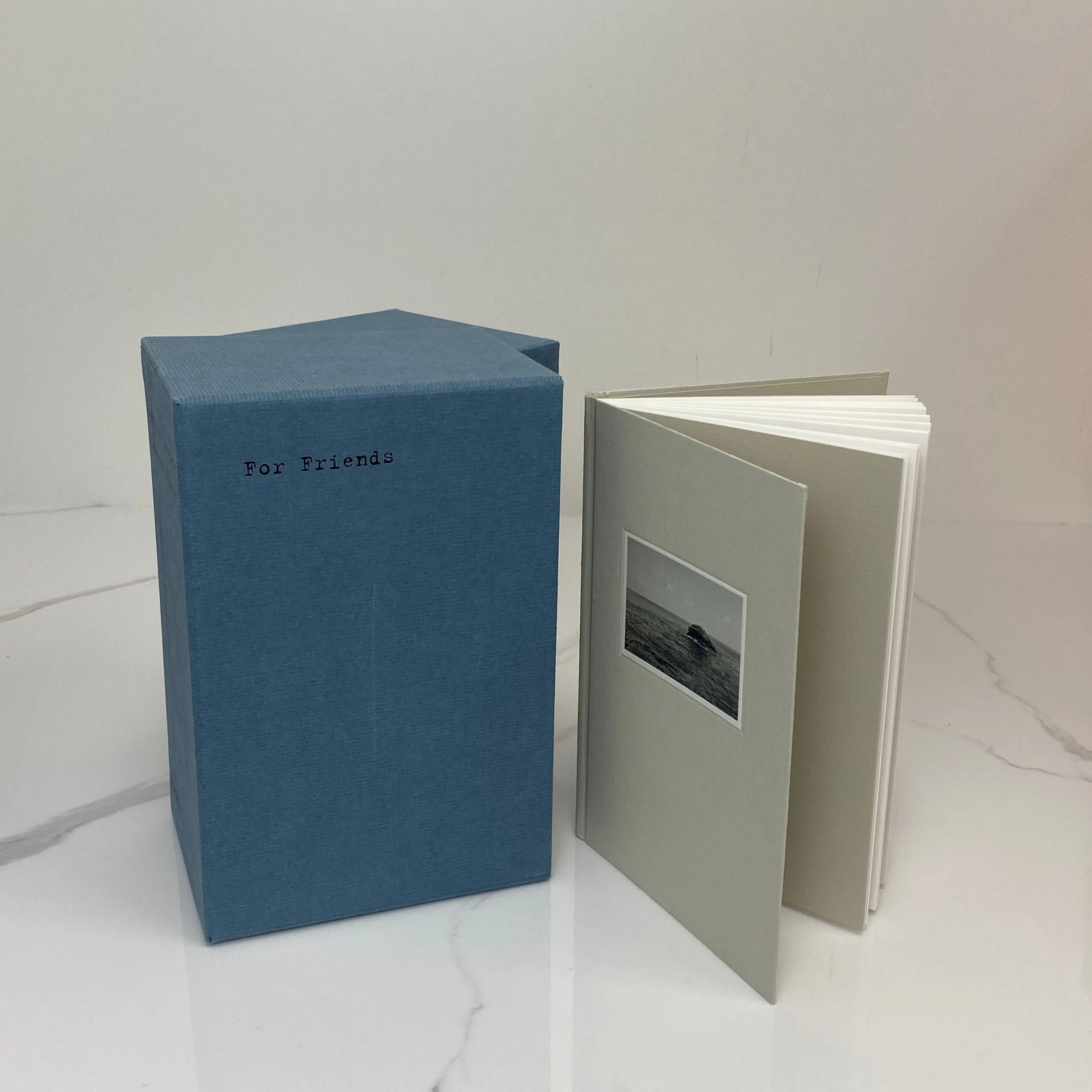 Louis Vuitton Book for Friend